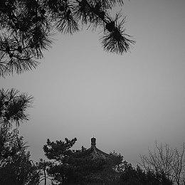 《宝可梦：朱紫》2025日本锦标赛公布 为期近半年